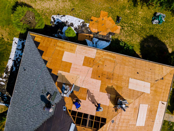 Best Commercial Roofing Services  in Gibsonton, FL