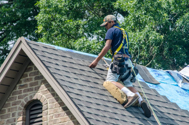 Best Roof Maintenance Services  in Gibsonton, FL